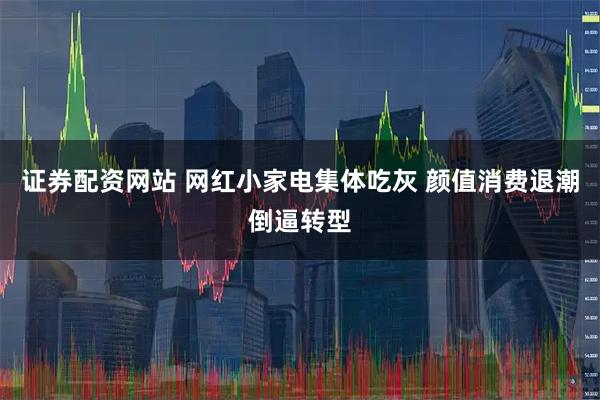 证券配资网站 网红小家电集体吃灰 颜值消费退潮倒逼转型